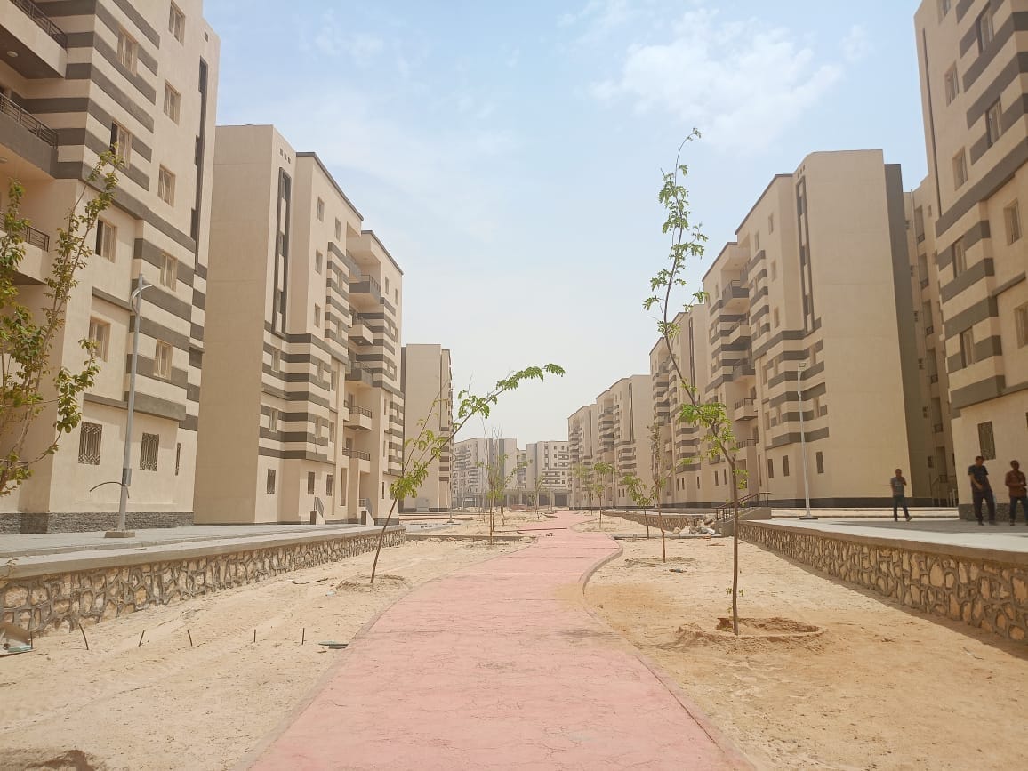 445046244_947786420725112_3180910163081026263_n